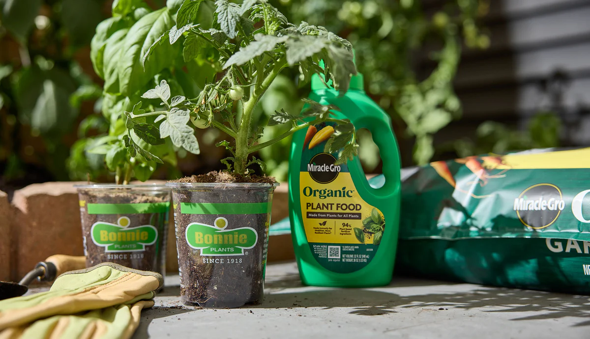 Grow Your Best Garden Ever